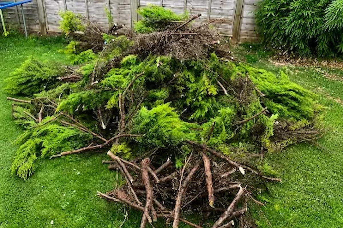 Afvoer van tuinafval en groenafval